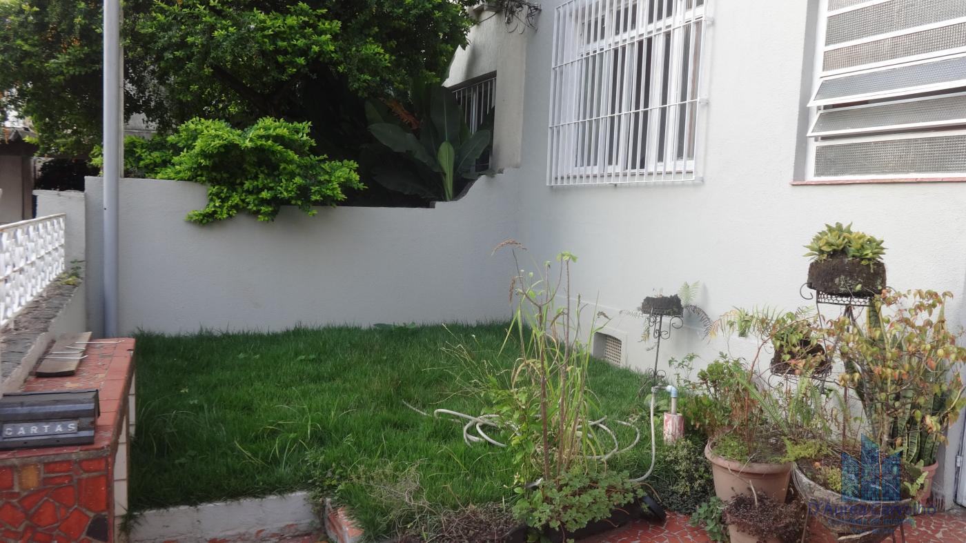 Jardim