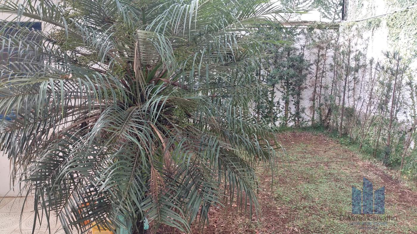 Jardim
