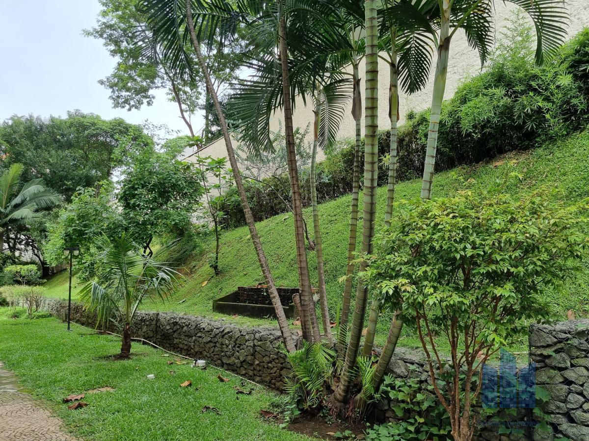 Jardim