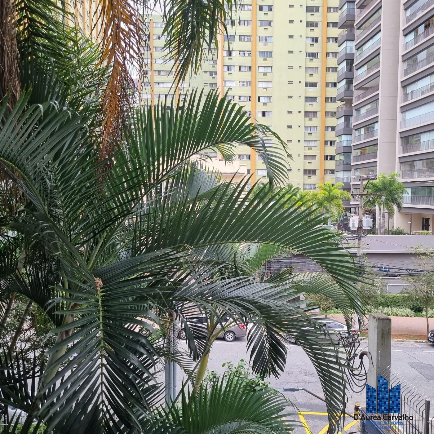 Vista Dormitrio 2