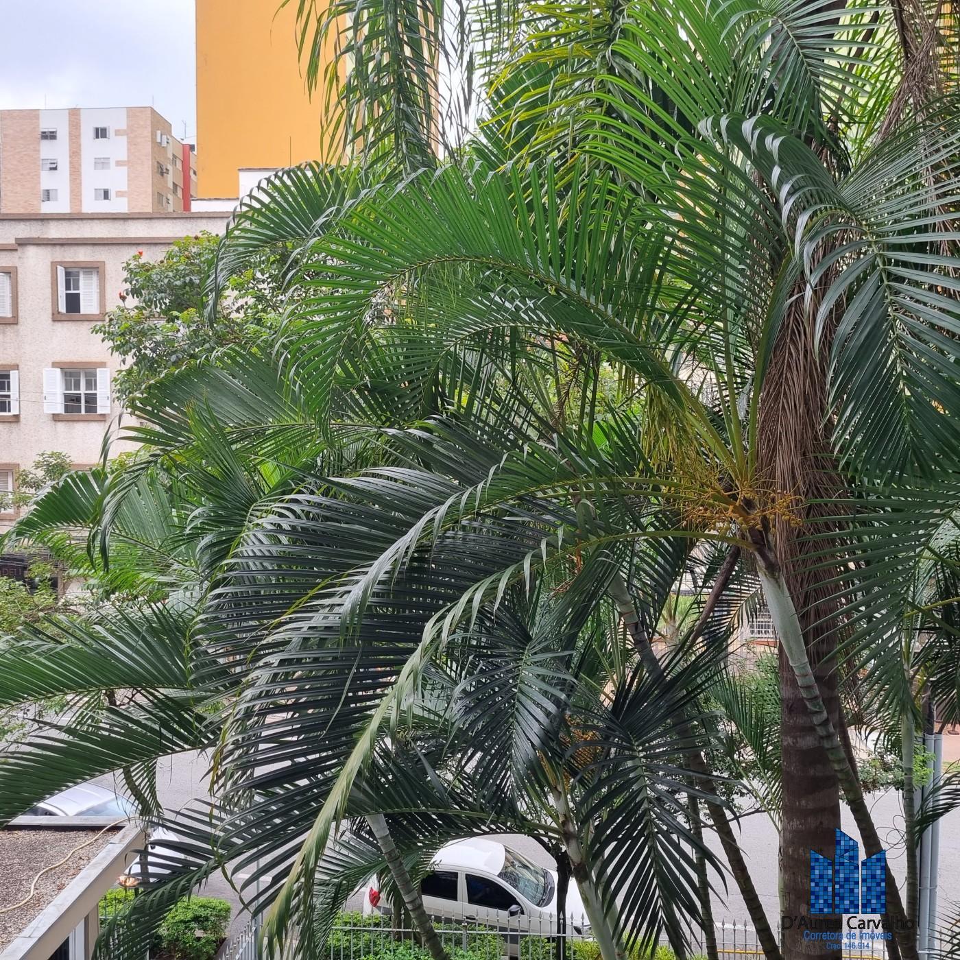 Vista Sute
